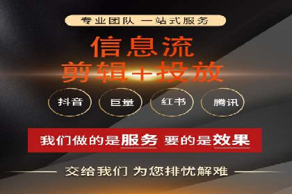 案例对比：不同平台信息流优化技巧